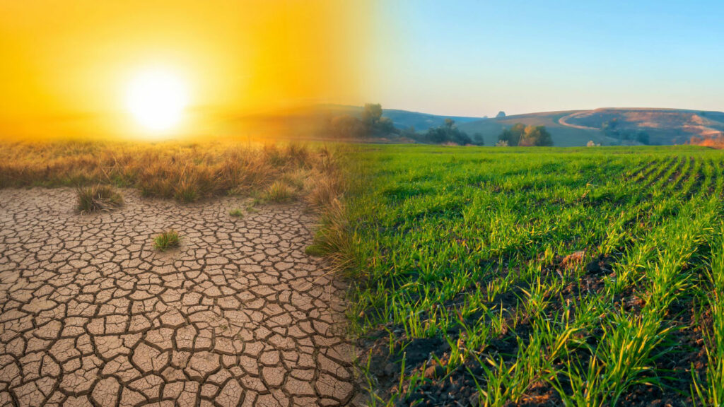 Cambio climático agricultura